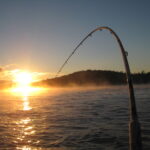 Povolenia na lov 2026