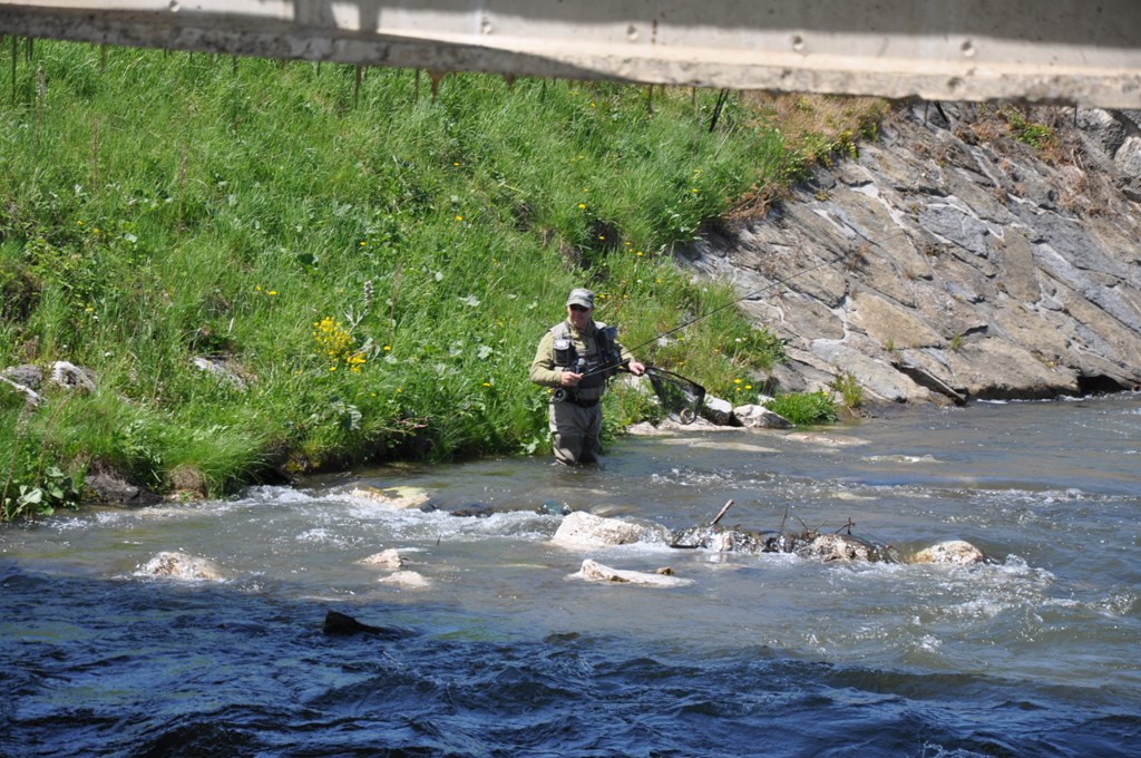 DSC_0062